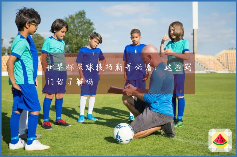 世界杯买球技巧新手必看，这些窍门你了解吗