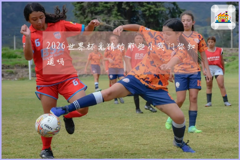 2026世界杯竞猜的那些小窍门你知道吗