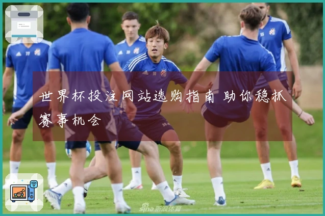 世界杯投注网站选购指南 助你稳抓赛事机会