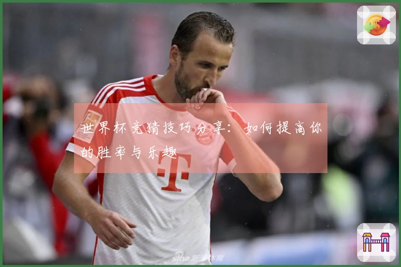 世界杯竞猜技巧分享：如何提高你的胜率与乐趣