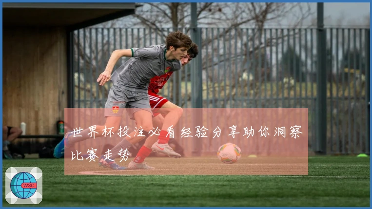 世界杯投注必看经验分享助你洞察比赛走势